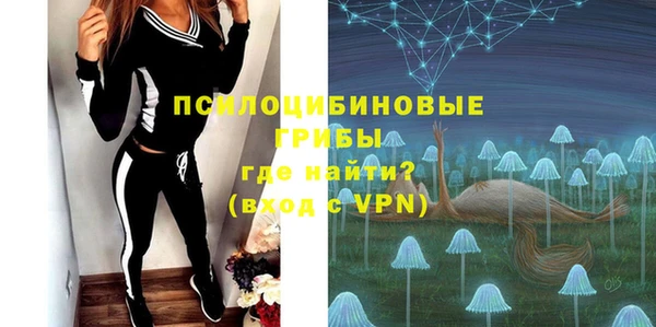 дмт Лагань