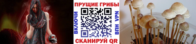 Псилоцибиновые грибы мицелий  Малгобек 